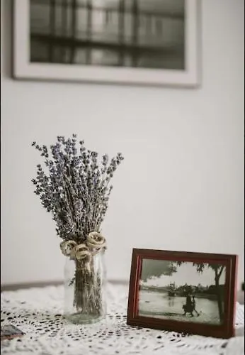 Appartement V41 Vaci